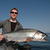 Early season chinook salmon caught off the coast of Tofino late April 2011